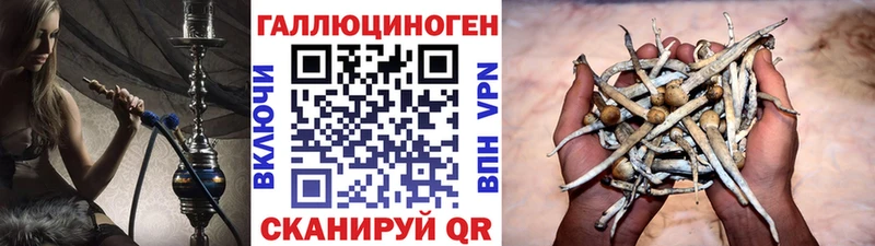 Купить закладки  Билибино  Псилоцибиновые грибы Magic Shrooms 