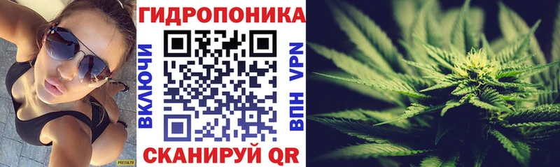 МАРИХУАНА ГИДРОПОН Купить где Билибино